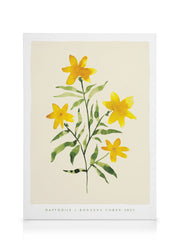 Rosanna Corfe - Daffodils Canvas print