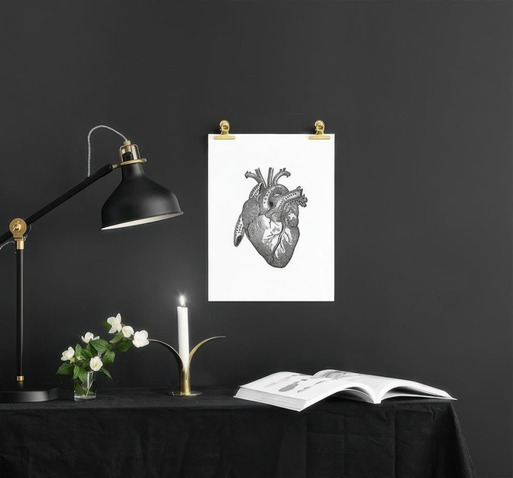 Heart Anatomy Print
