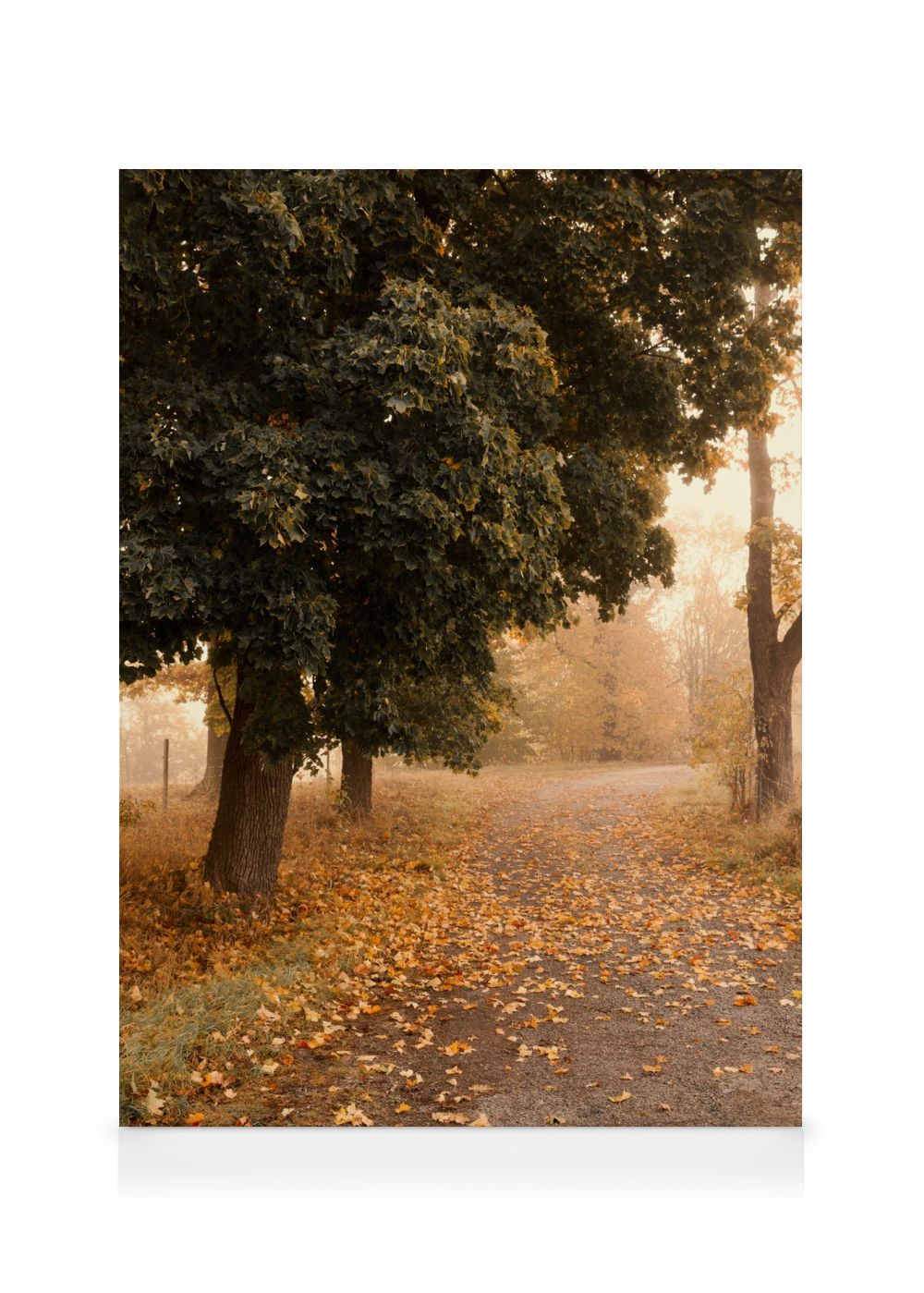 Autumn Stroll Canvas print