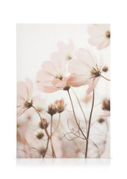 Pink Cosmos Flowers Canvas print