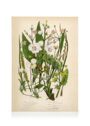 Vintage Flowers One Canvas print