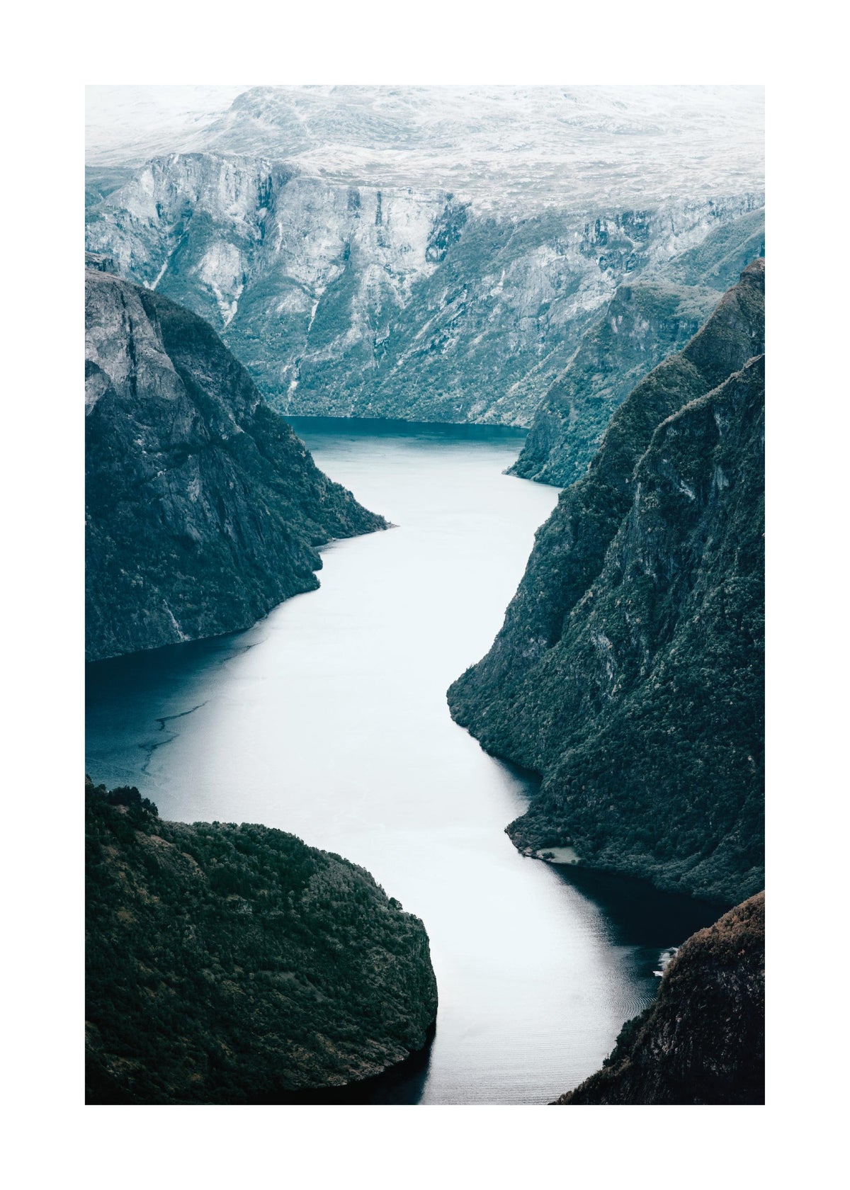 Scandinavian Wild Nature Print