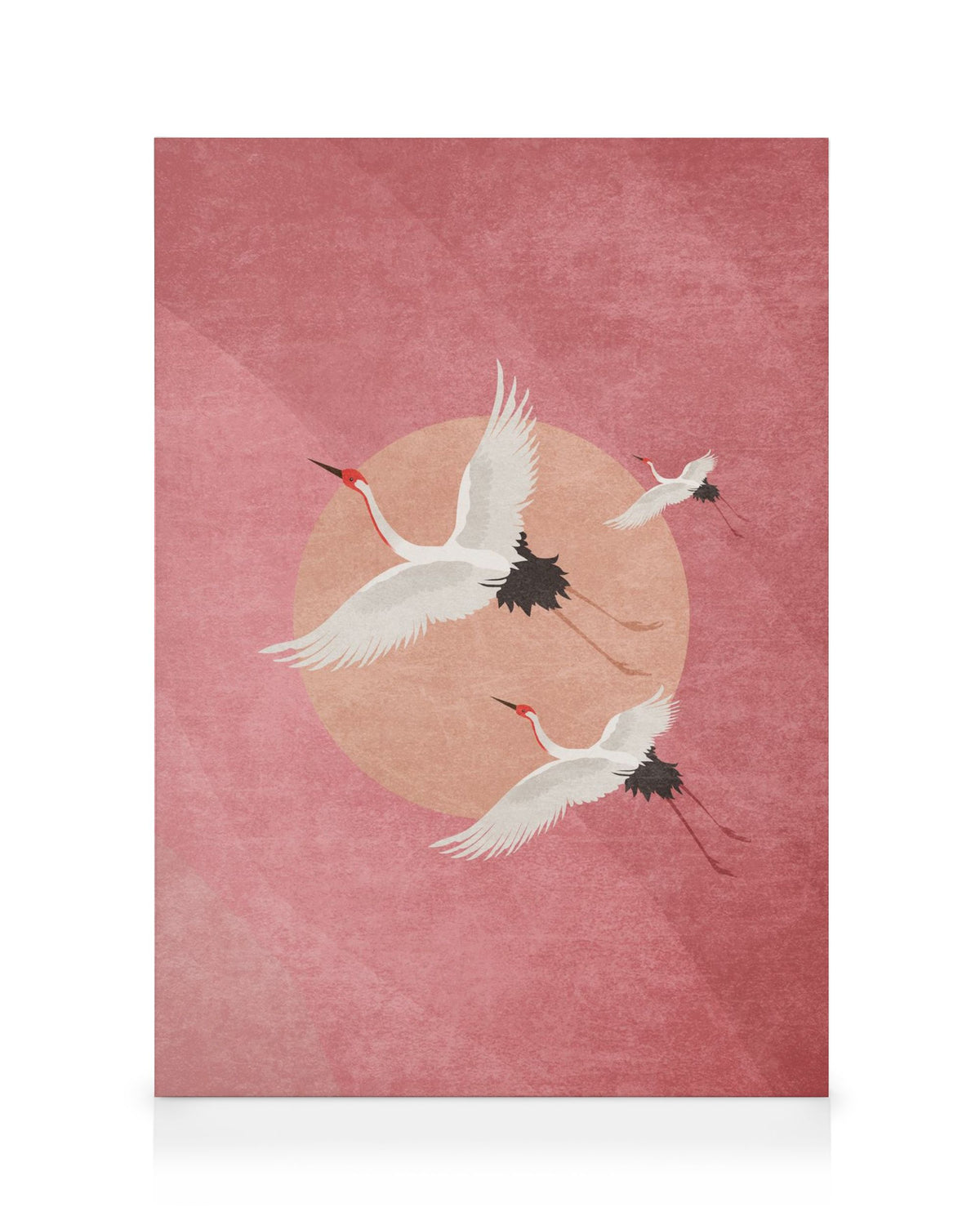 Flying Cranes Canvas print
