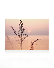 Little Sunset Grass Canvas print