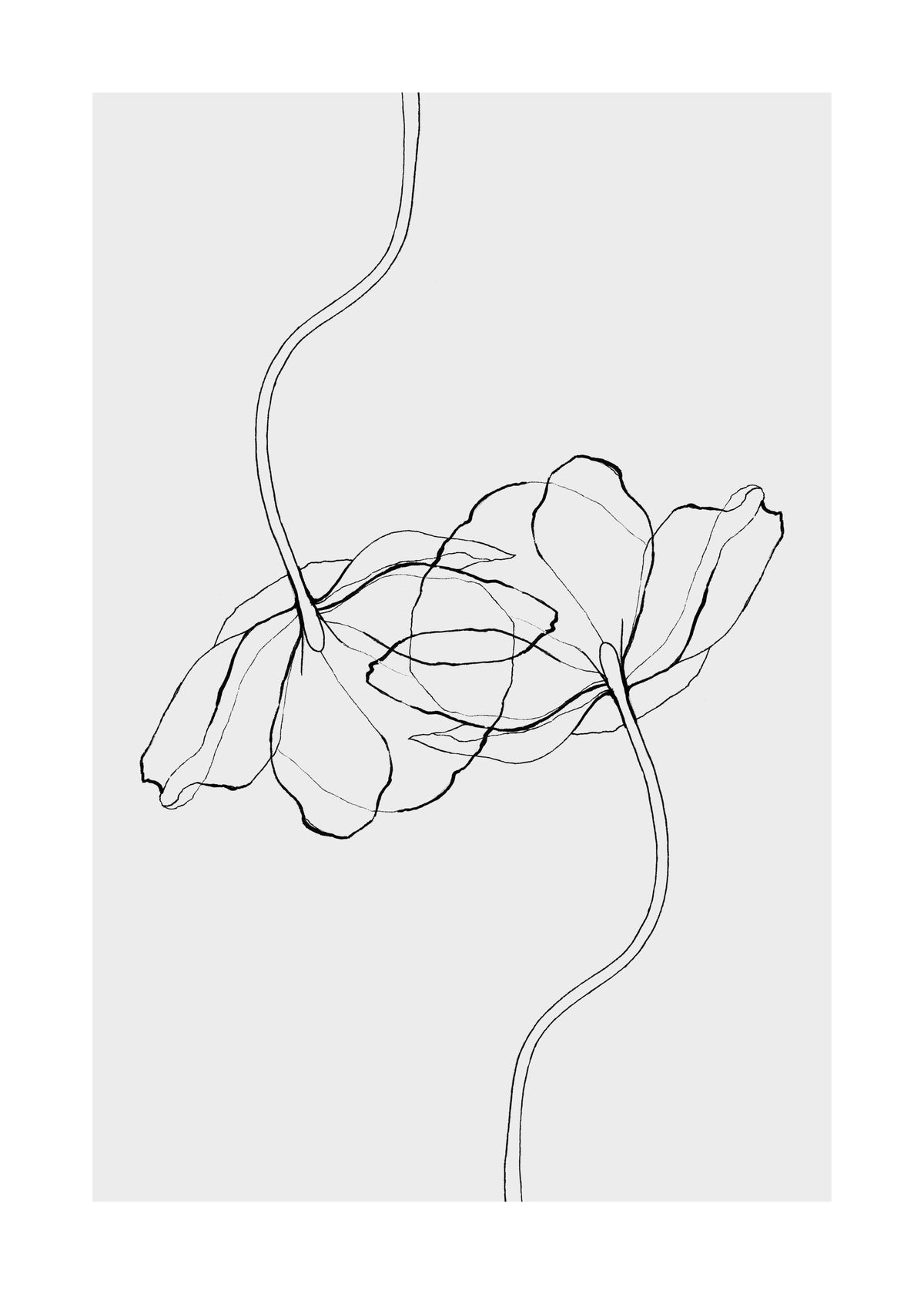 Line Poppies Print