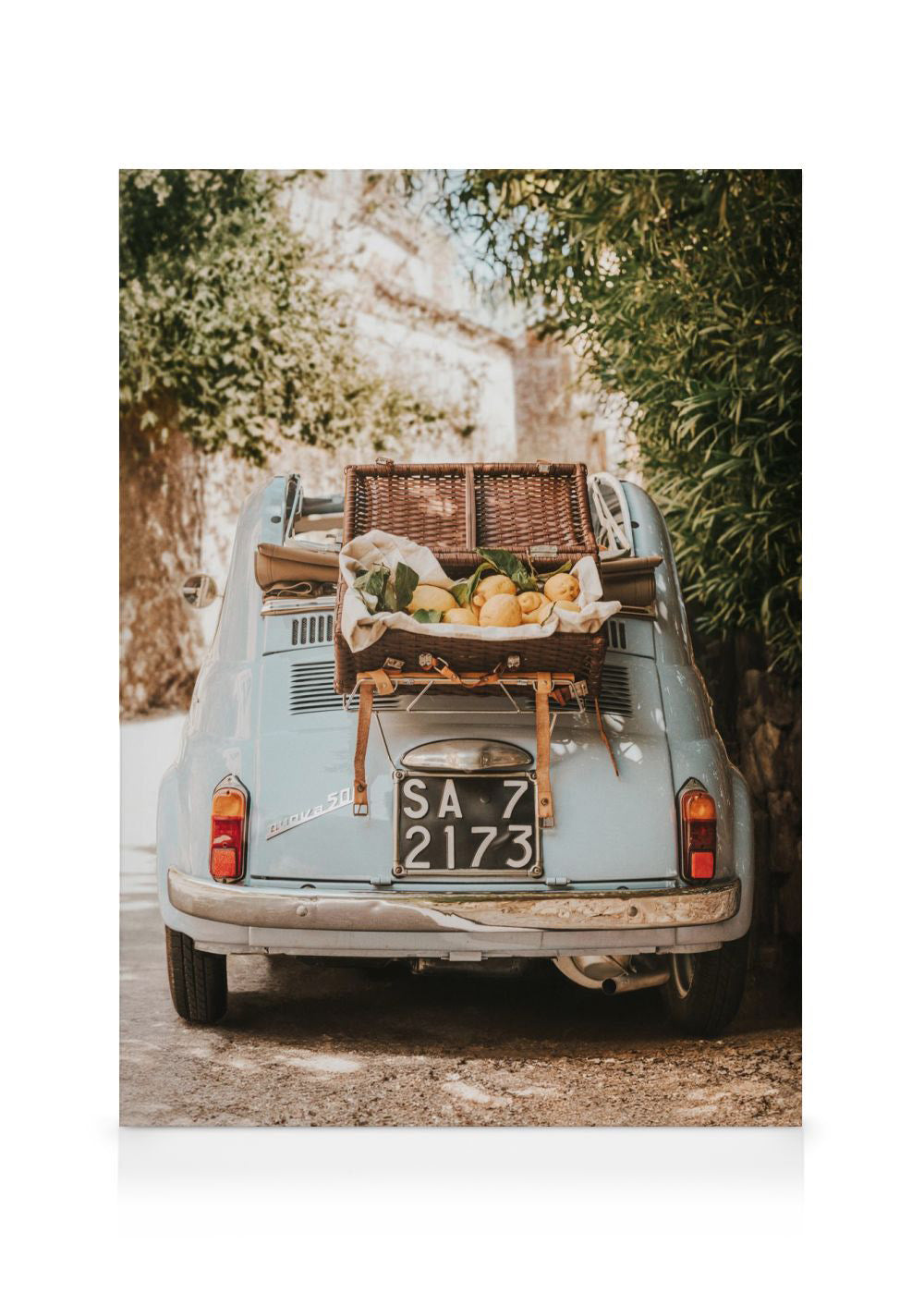 Citrus Cruise Canvas print