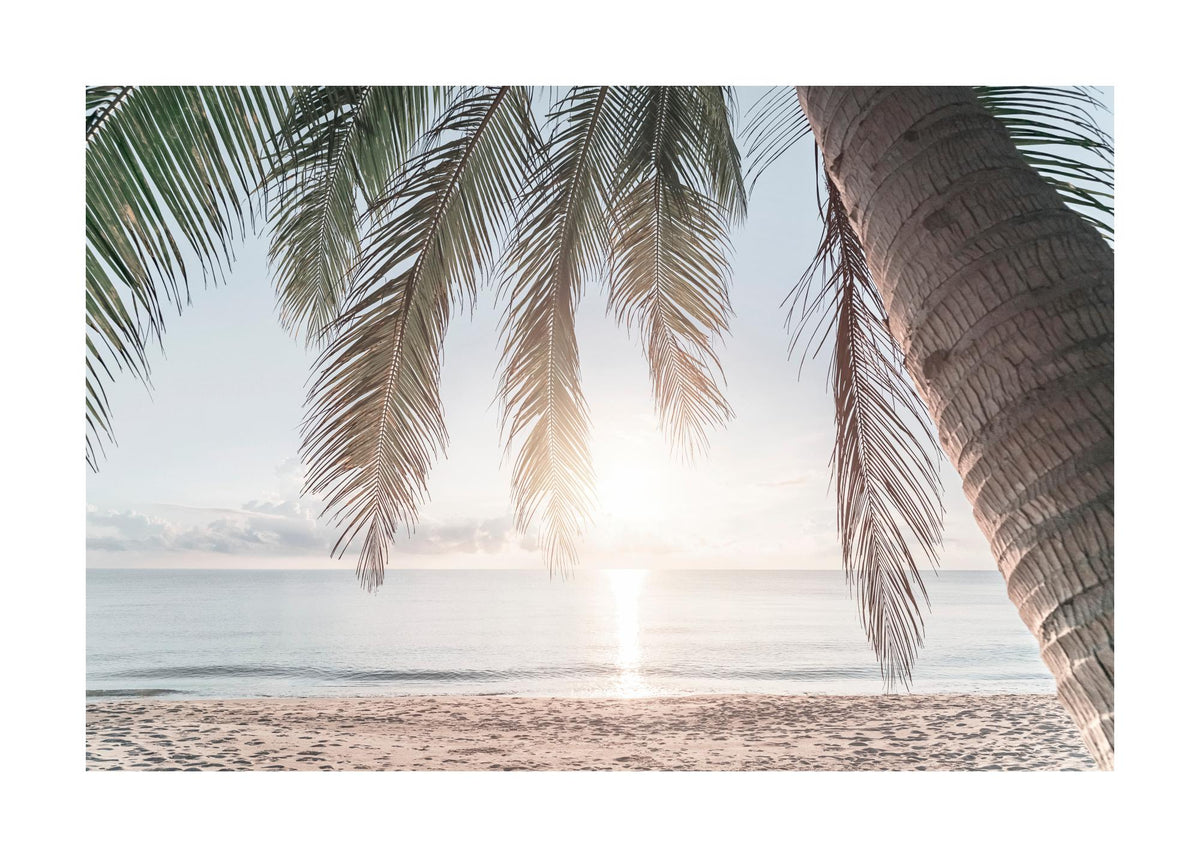 Tropical Beach Sunset Print