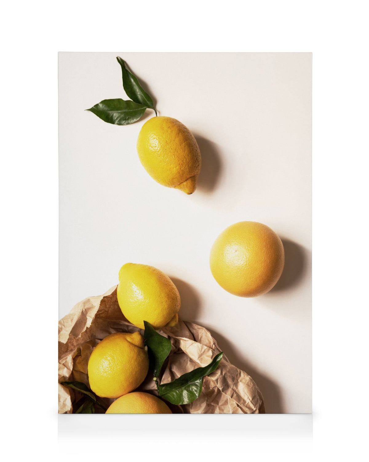 I Bought You Lemons Canvas print