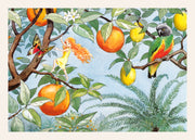 Elsa Beskow - The Elf in the Sun Land Print