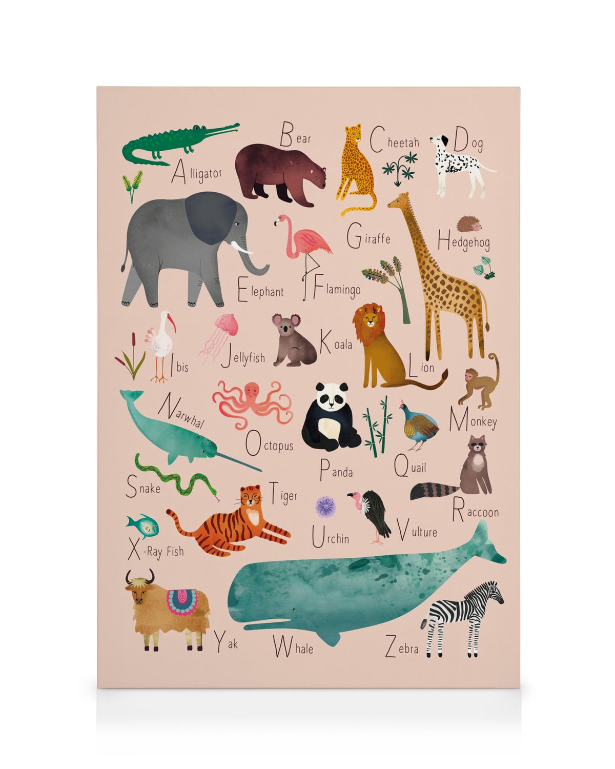 Alphabet Animals 1 Canvas print