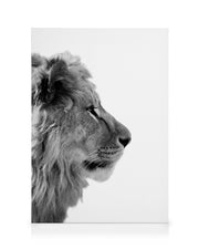 Lion From Side Canvas print