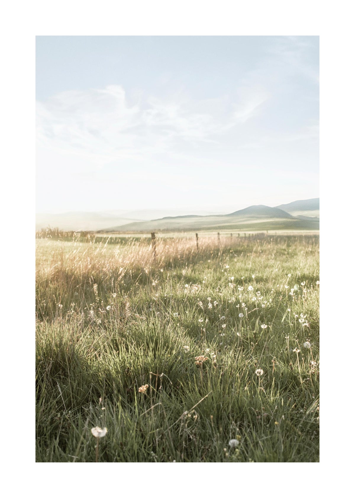 Field Sunset Print