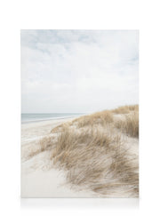 Cape Cod Dunes Canvas print