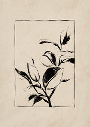Botany Print