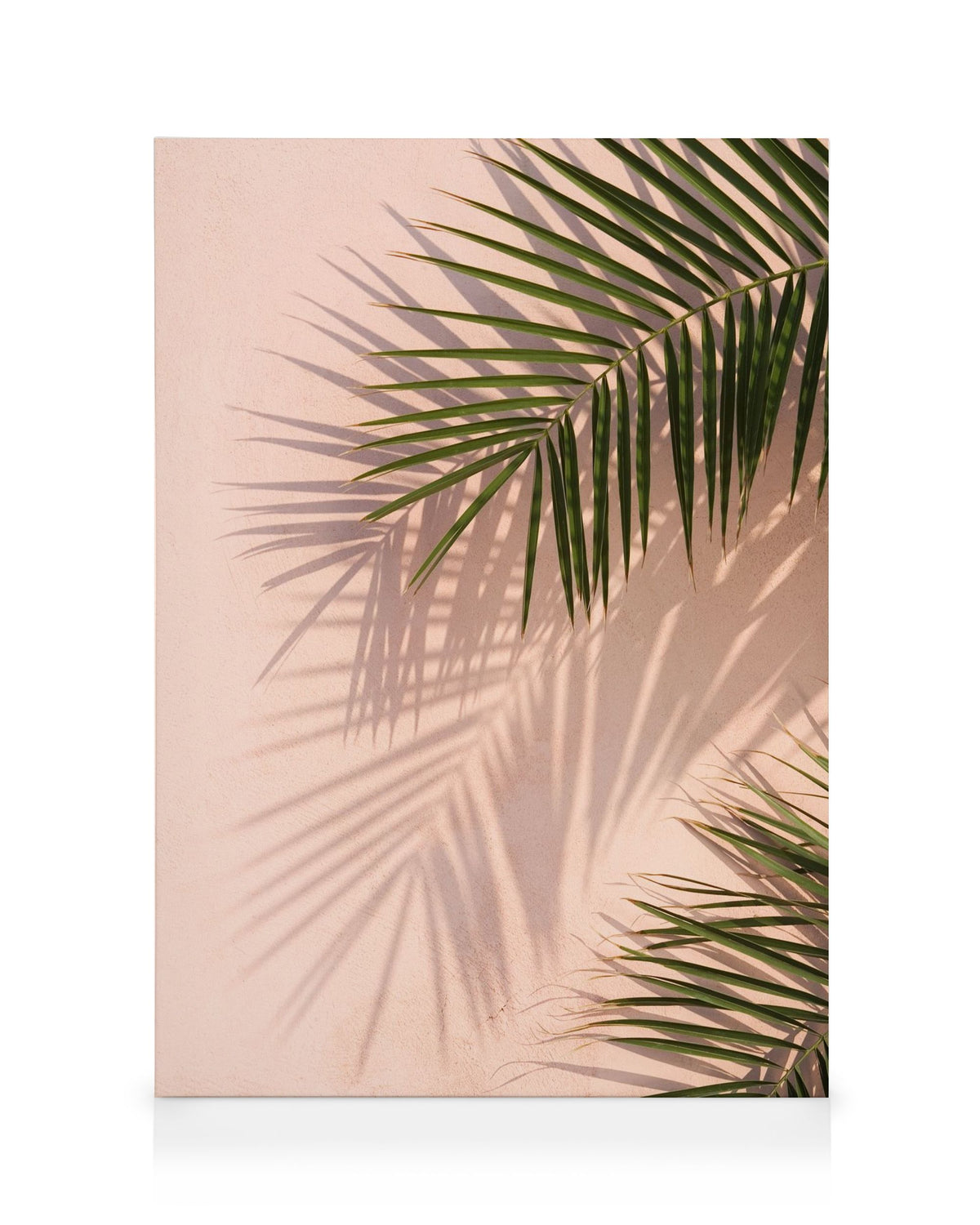 Pink Palm Canvas print