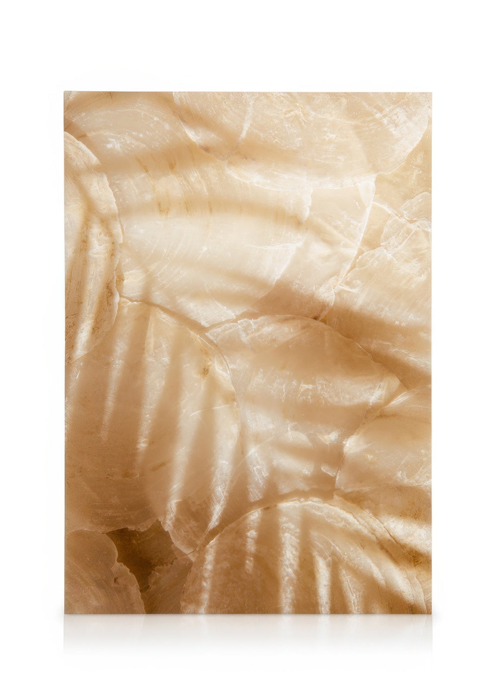 Palm Leaf Reflection Canvas print