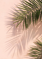 Pink Palm Print