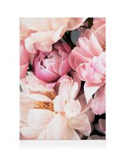 Pink Peonies No2 Canvas print