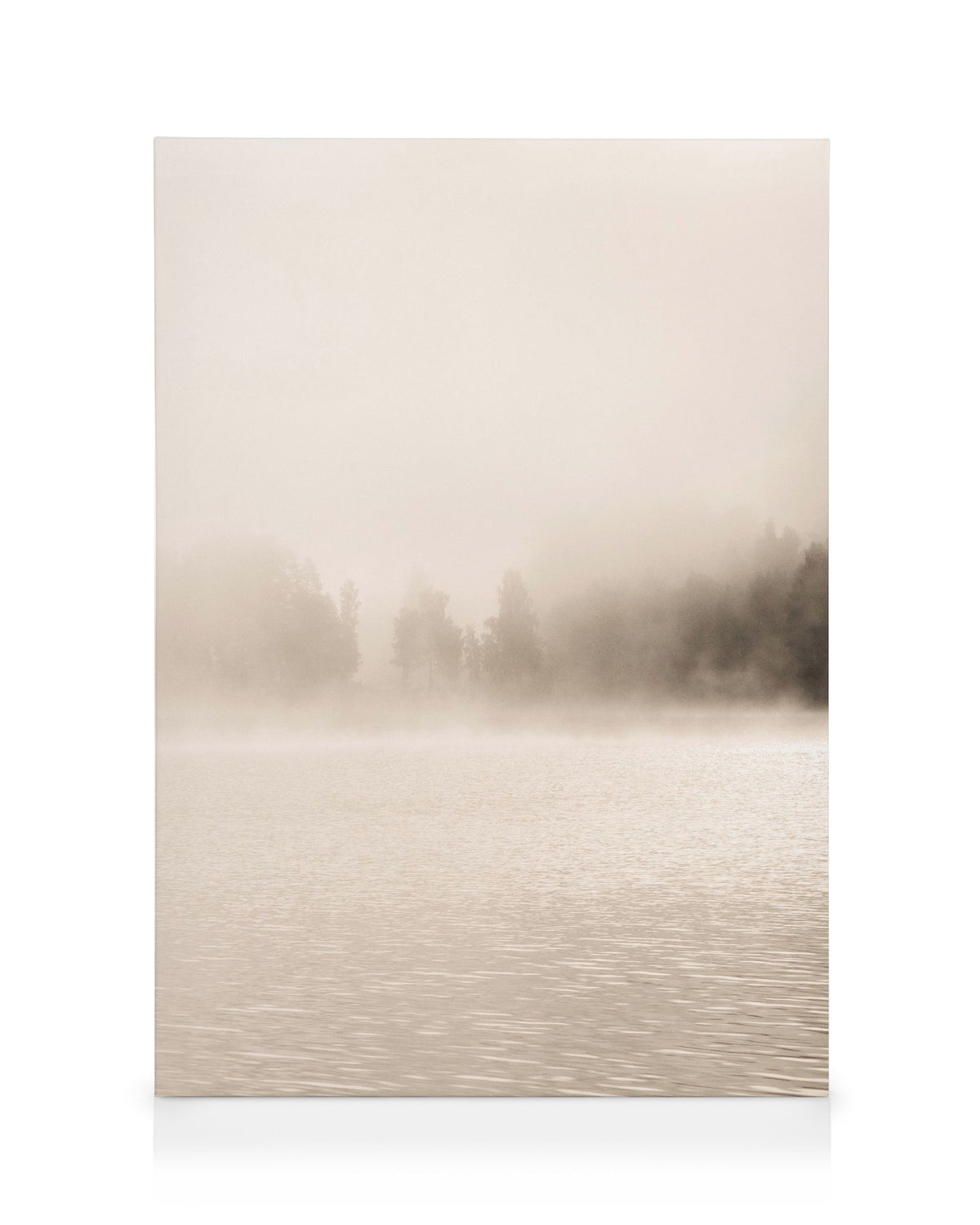 Fading Light No2 Canvas print