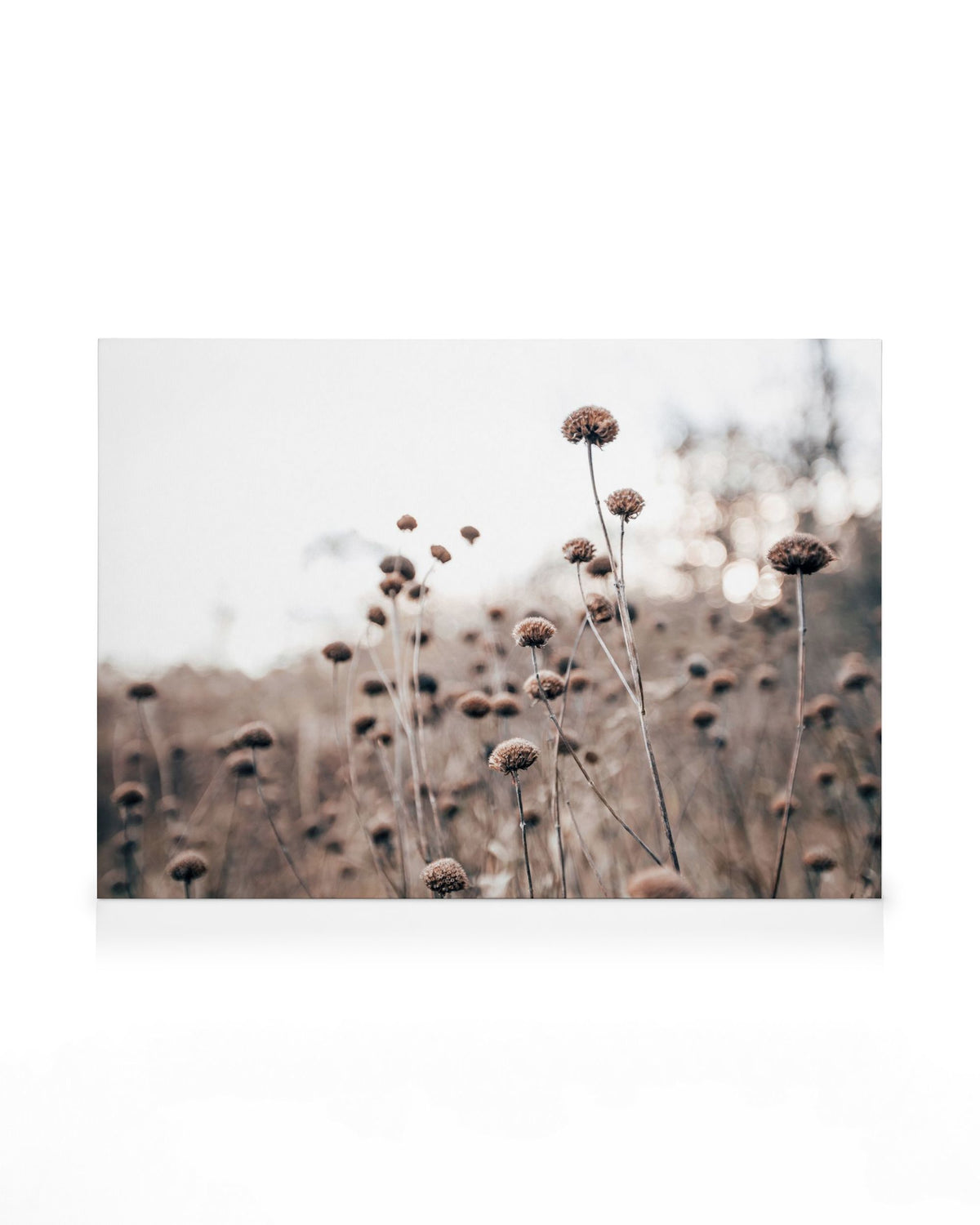Monochrome Flowers Canvas print