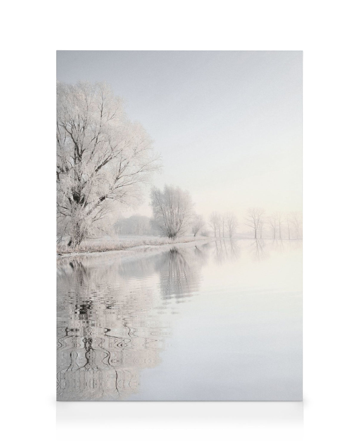 Crispy Wonderland Canvas print