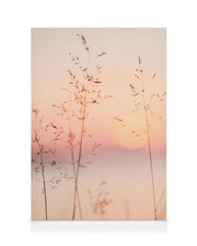 Pastel Sunset Canvas print