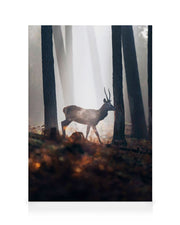 Red Deer Canvas print
