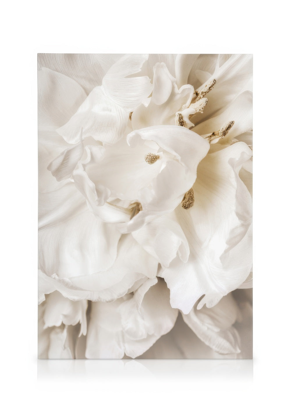 Dreamy Flower Close up Canvas print
