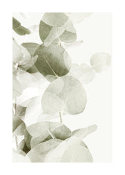 Abstract Eucalyptus No1 Print