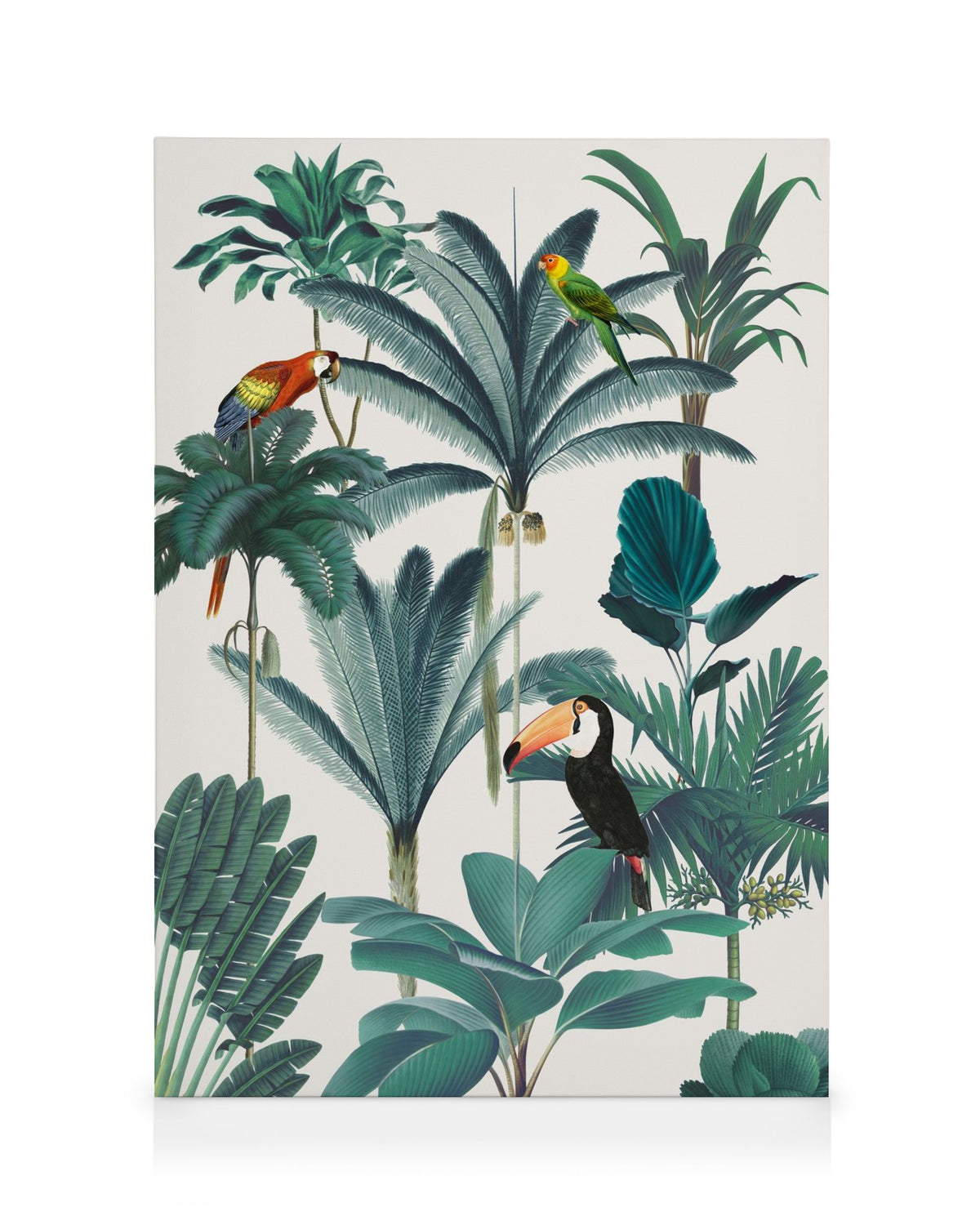 Royal Botanical Birds Canvas print