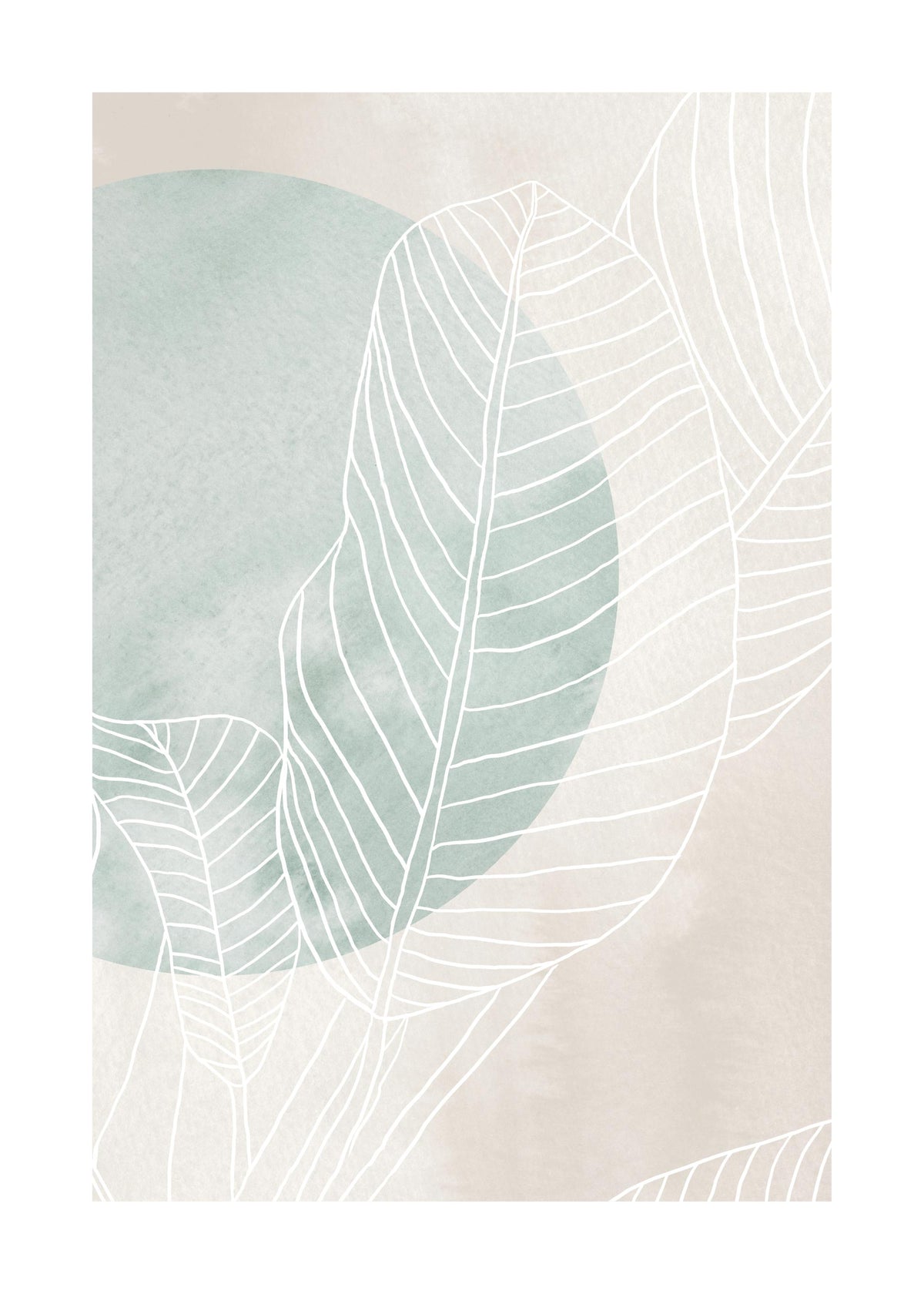 Ficus Line Drawing Print