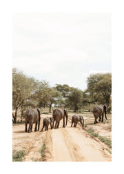 An Elephant’s Journey Print