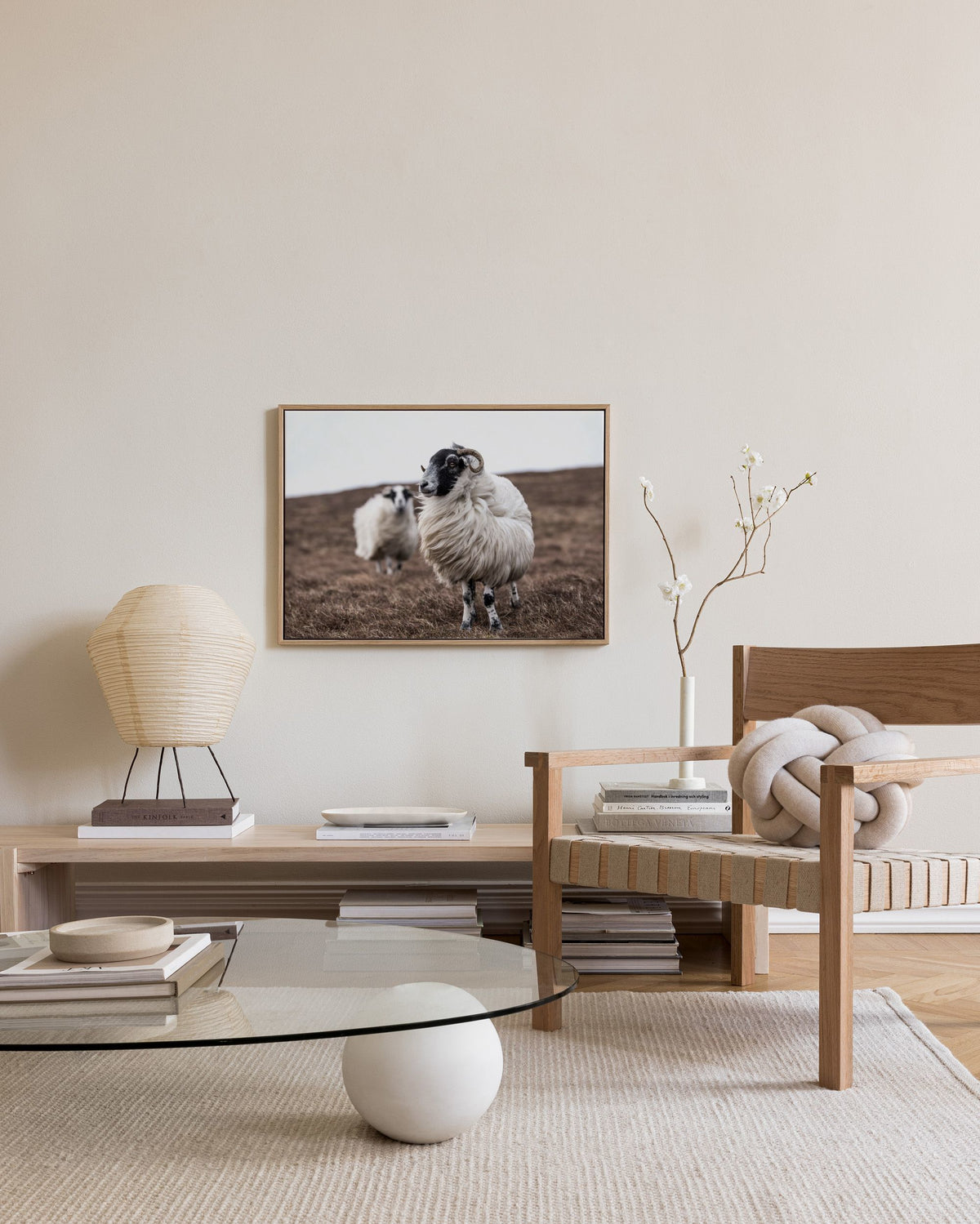 Sheep Canvas print