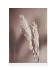Beige Reeds No2 Canvas print