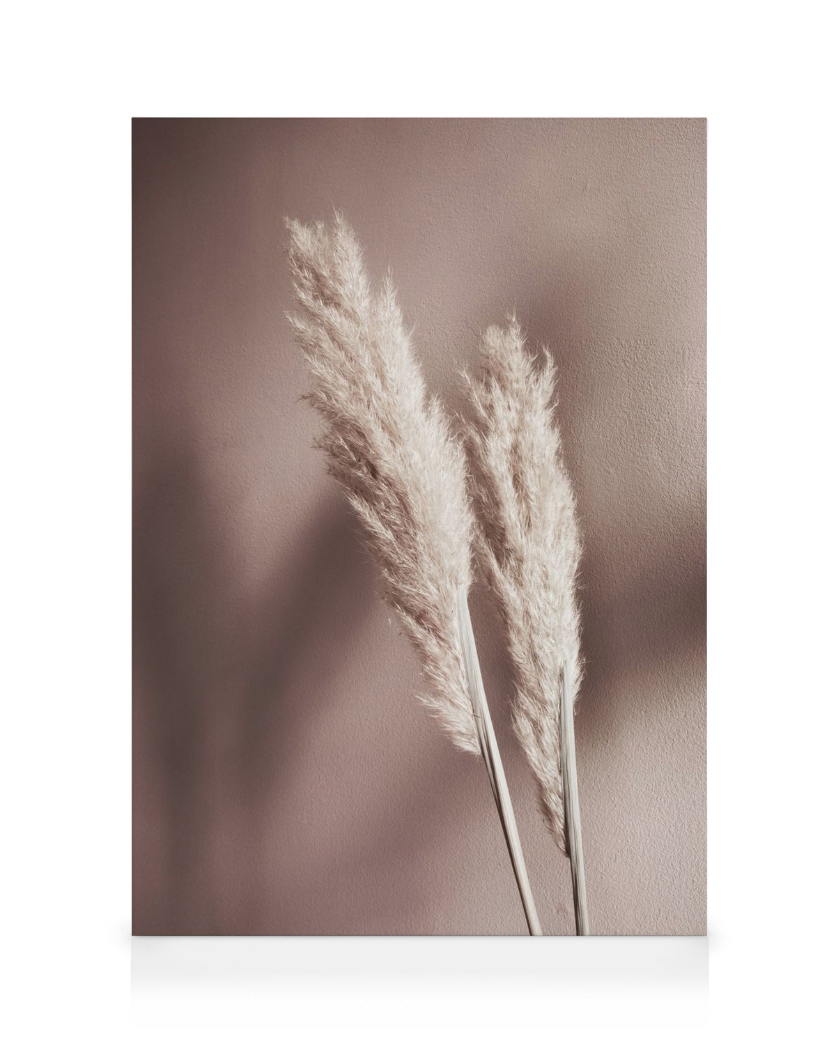 Beige Reeds No2 Canvas print