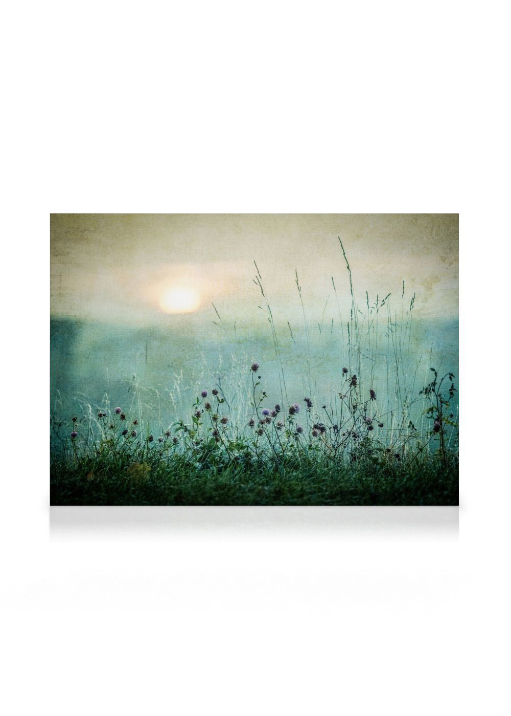 Meadow In Dawn Canvas print