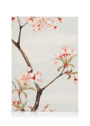Megata Morikaga - Sakura Cherry Canvas print