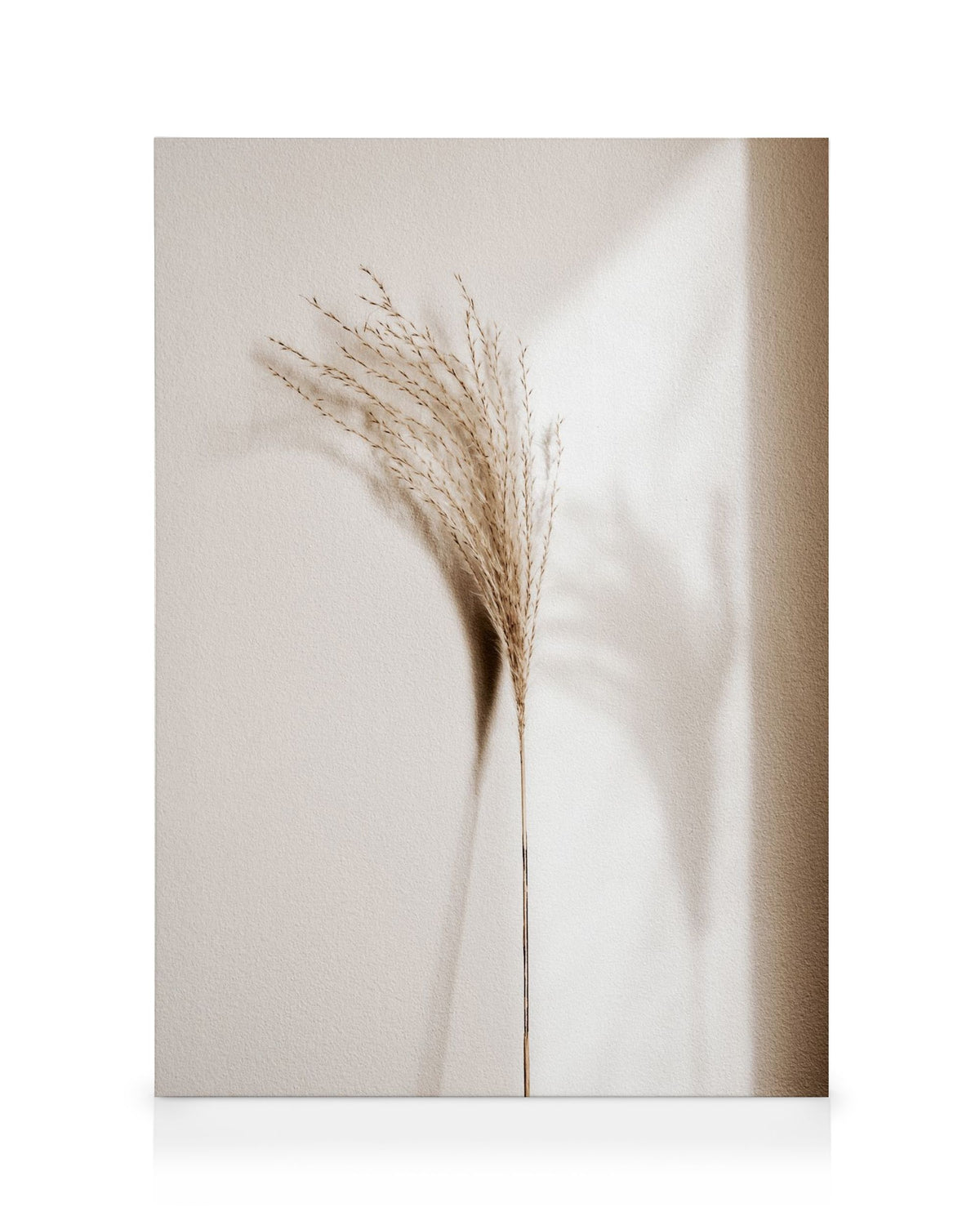 Reed Shadow Canvas print