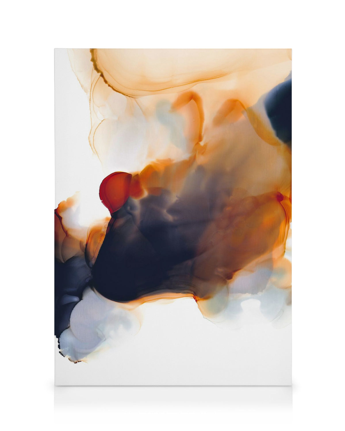 Abstract Color Flow No2 Canvas print
