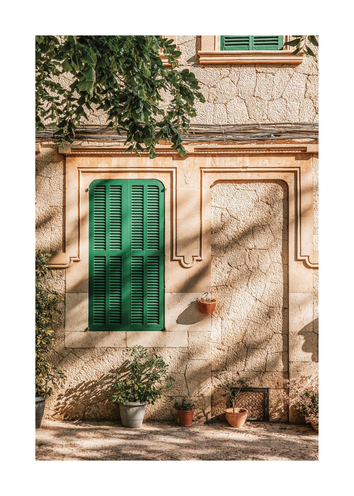 Green Window Print