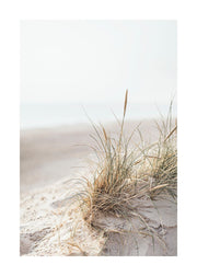 Dune Grass Print