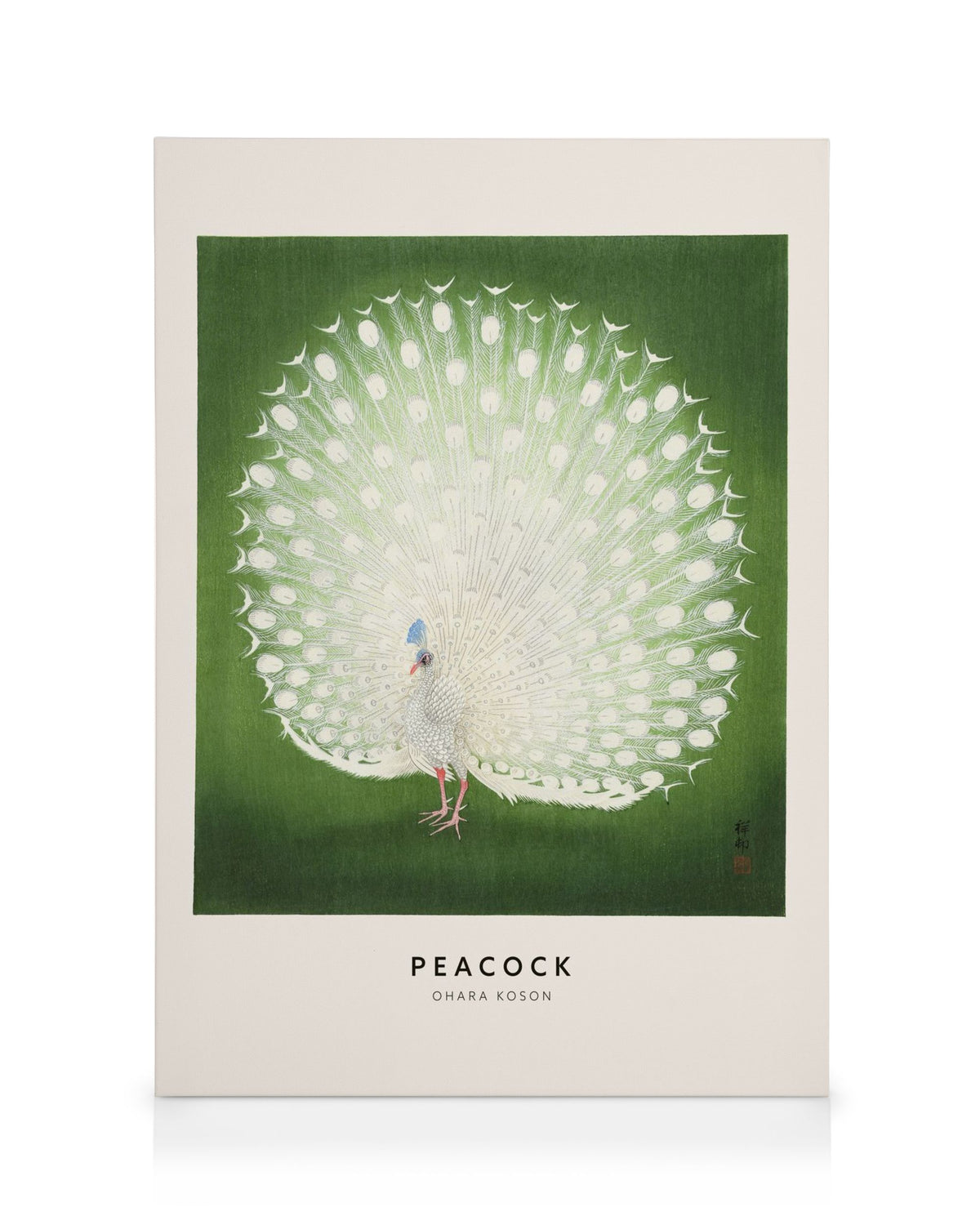 Ohara Koson - Peacock Canvas print