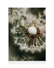 Dandelion in Green Canvas print