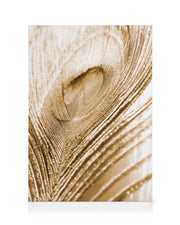 Golden Feather Canvas print
