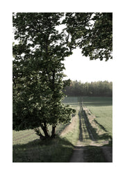 Country Road Print