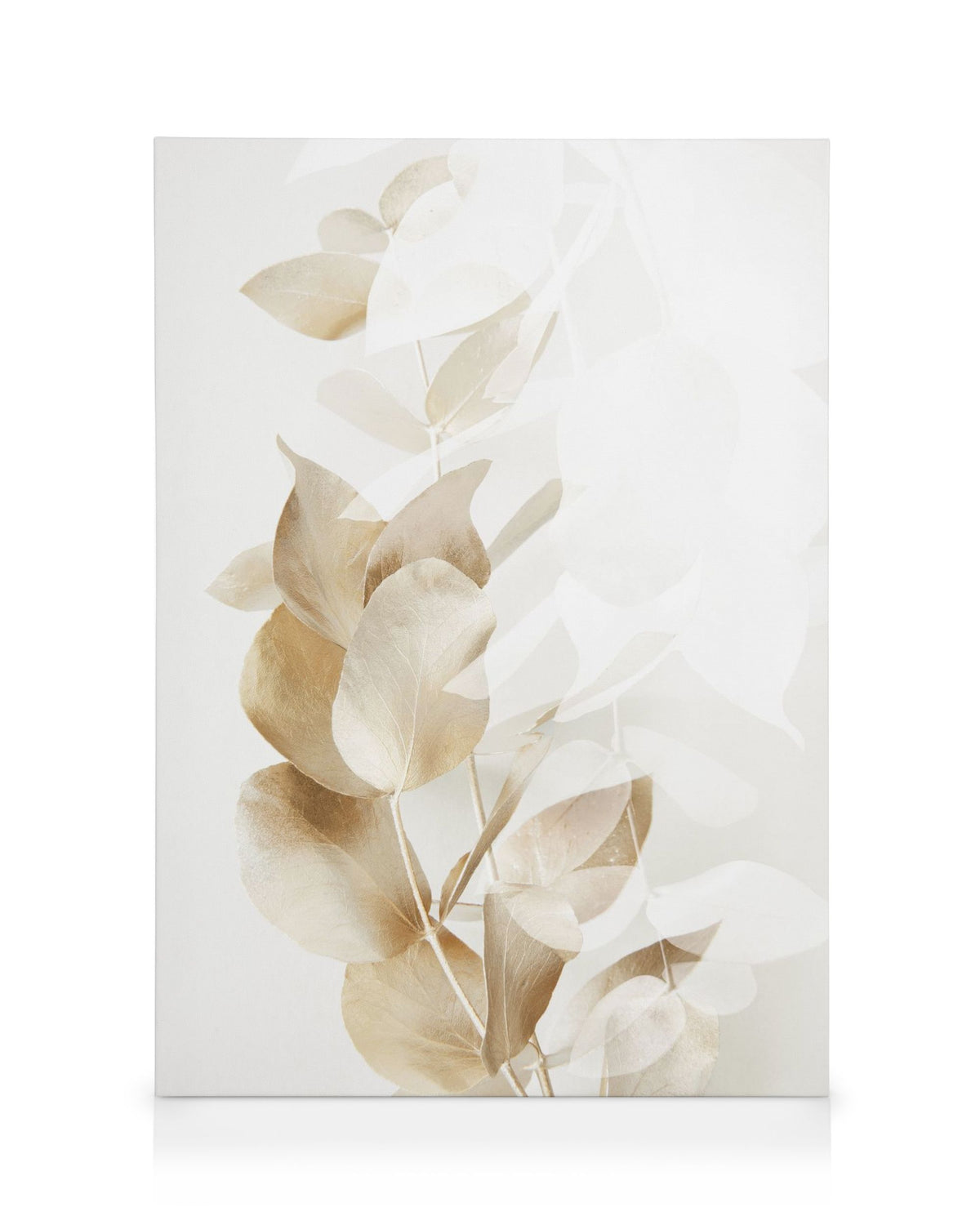 Golden Eucalyptus No2 Canvas print
