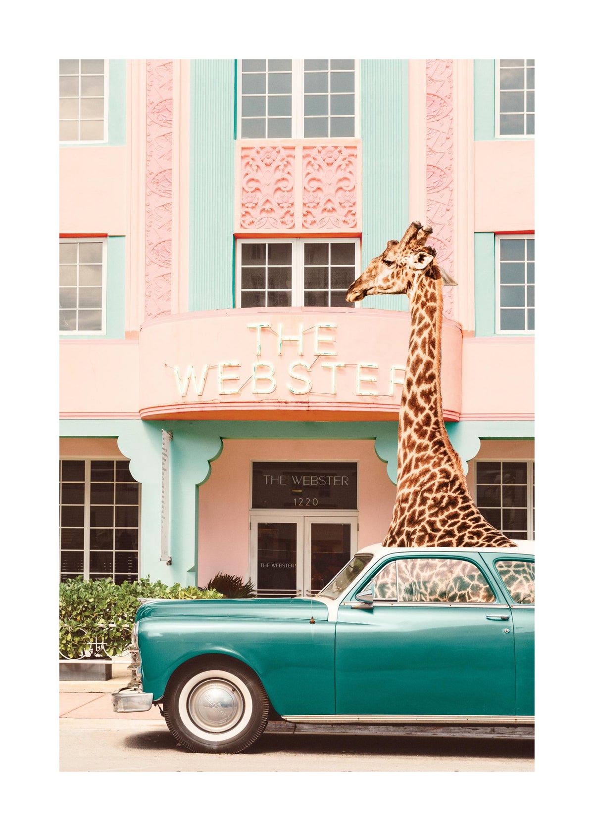 Giraffe Parking Print