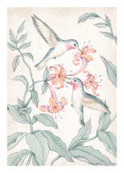 Hummingbirds Painting Print