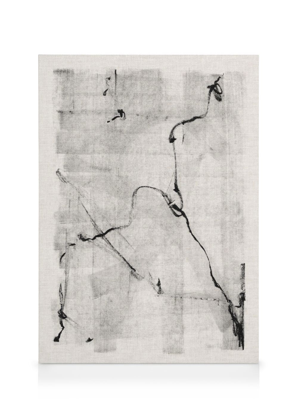 Black Lines Art Canvas print