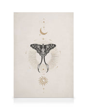 Moon Star Butterfly Canvas print